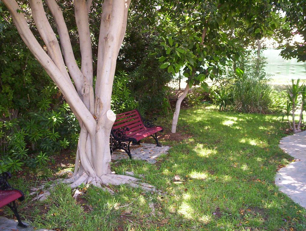 Jasmine Hotel Apartments Λεμεσός Εξωτερικό φωτογραφία